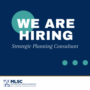 We are hiring a strategic planning consultant